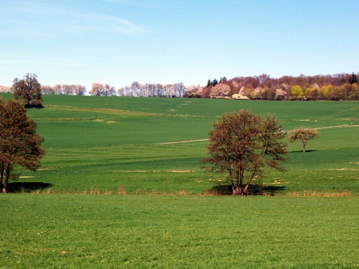 Wiesen, Wald und viel Natur